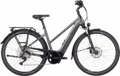 Pegasus Premio EVO 10 Lite -BONTRAGER Verkoopwinkel pegasus premio evo 10 grijs trapeze