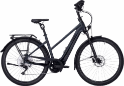 Pegasus Premio EVO 10 Lite Comfort -BONTRAGER Verkoopwinkel pegasus premio evo 10 lite comfort trapeze zwart